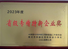 2023 Enterprise Award of Xilin Street