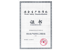 Safety Standardization Certificate